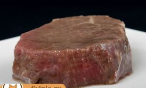 Какой выход мяса свинины от живого веса