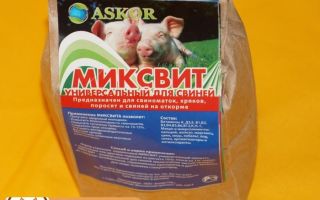 Свиноводство: какие витамины для поросят рекомендованы